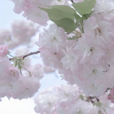 Furry插画构图技巧福瑞交流群